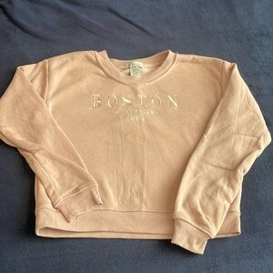 If it were me Brand, Color Light Pink, Words Boston Academics on it.